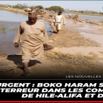 Urgent : boko haram sème la terreur dans les communes de hile-alifa et darak