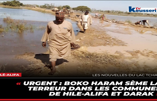Urgent : boko haram sème la terreur dans les communes de hile-alifa et darak