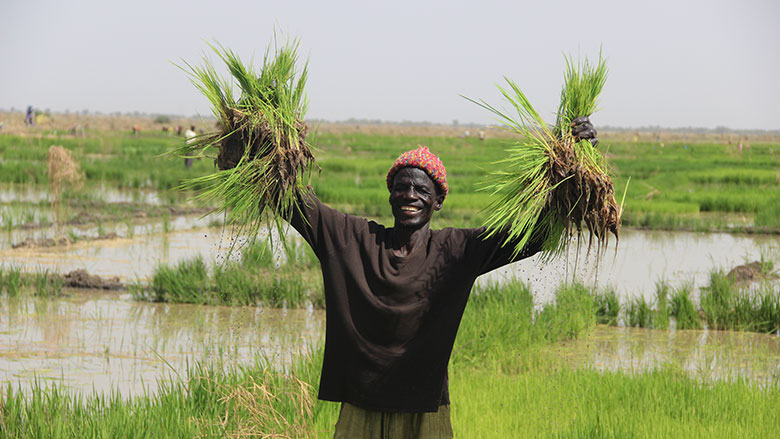 flood-management-in-the-far-north-of-cameroon-780x439